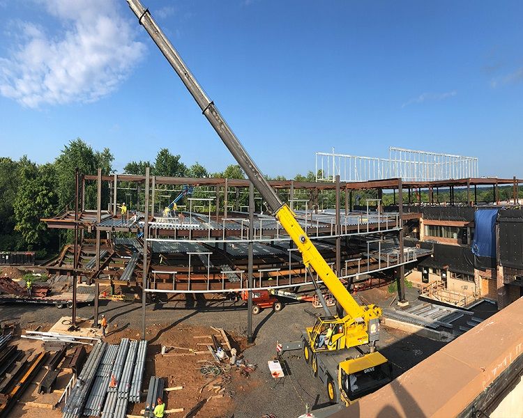 Doylestown steels and cranes