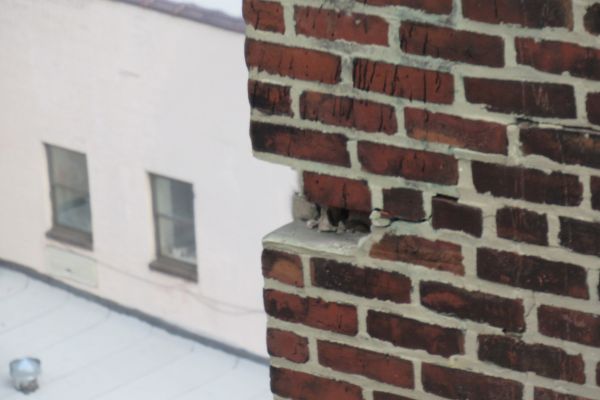 Missing brick and mortar from wall | Campus-Wide Structural Assessments | O'Donnell & Naccarato